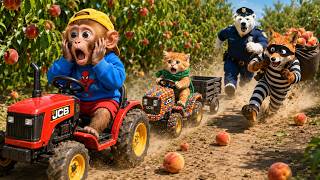 Monkey Zibi vs Hungry Hippo and Sneaky Fox! Farm Harvest Goes CHAOTIC!