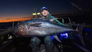 We Caught a $30,000 Bluefin Tuna! (230lb Monster!)