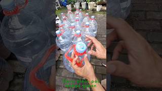 Cara Bikin Pot Dari Galon Bekas #pottanaman #galonbekas #tanammelon #kreatif #daurulang  #cabai