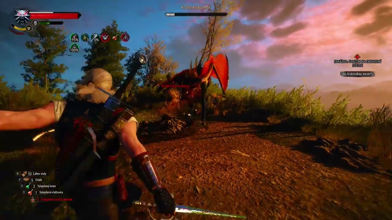 Witcher 3 Ghost mode King Wyvern bossfight ( Death March )