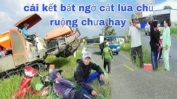 XEM MÁY CẮT LÚA KUBOTA DC70 BINH CẮT ĐỒNG VUÔNG TÔM SẬP DẺO