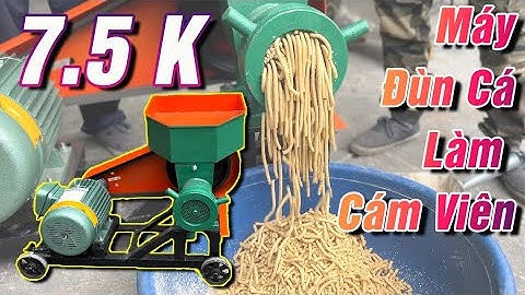 Máy đùn cá công nghiệp 7.5kW Bình Quân - Đùn Cám Viên Siêu Tốc