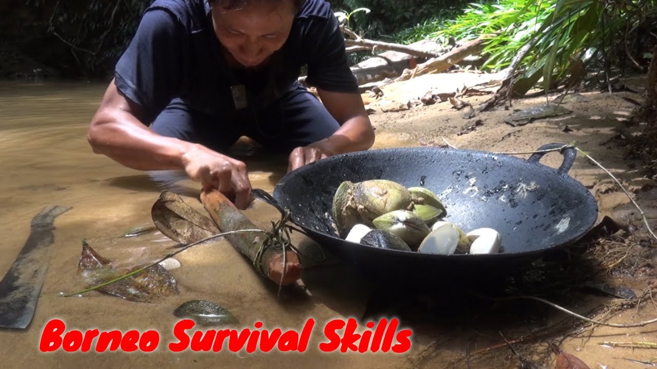 Survival Skills: Cooking and eating Delicious Freshwater Shells | Video Blog 7