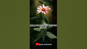 سوره الزمر الايات [61:64] للقارئ الشيخ /يونس اسويلص #قران_كريم #سورة_الزمر #يونس_اسويلص