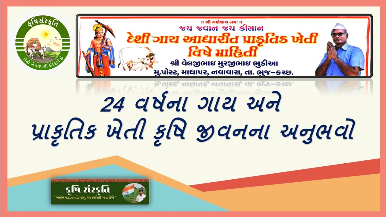પ્રાકૃતિક ખેતી.. ગાય આધારિત ખેતી ના અનુભવ .વેલજીભાઇ ભૂડીઆ .NATURAL FARMING.. DESHI COW BASE FARMING