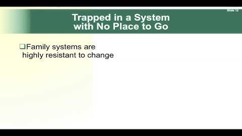 What is the Interactional View Communication Theory?