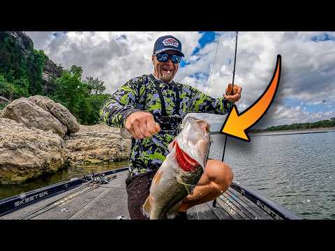 They Said The Bite Was Slow… I Didn’t Listen