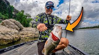 They Said The Bite Was Slow… I Didn’t Listen