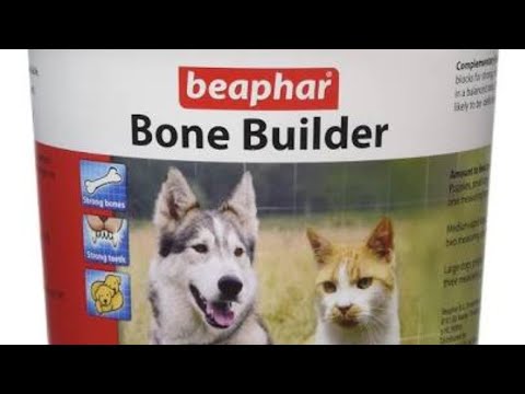 bone builder for dogs