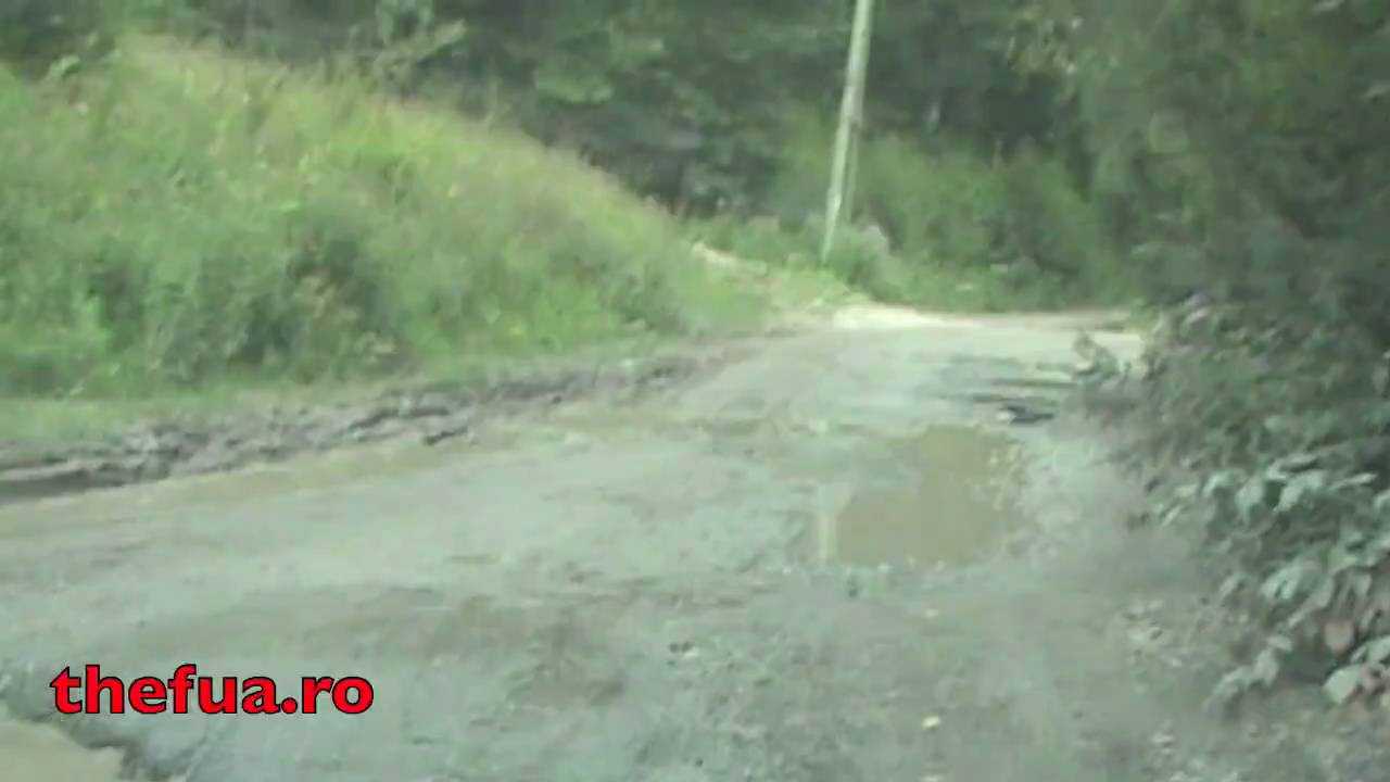 Lacul de acumulare Lesu -  Drumul catre "Coada Lacului"