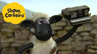 Shaun, o Carneiro [Shaun the Sheep] câmera Polaroid  Hora Especial| Cartoons Para Crianças