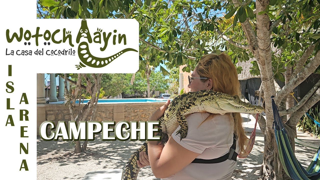 La Casa de Cocodrilo - Isla Arena - Campeche - 2025 (2/2)