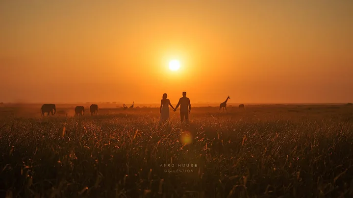 Finest 22 Afro Tech Vibes 🔥💎 | Inspired by Caiiro, Djeff