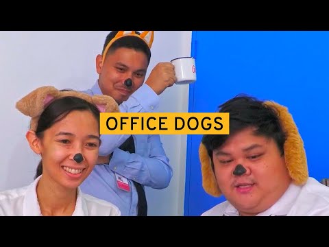 Work Is Ruff Working in an Office is RUFF | SOLID OK Sketch Comedy - YouTube