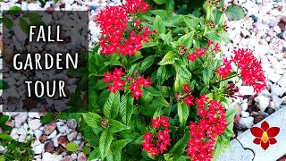 Autumn Garden Tour and Updates! 🌺🍃🌹🍂