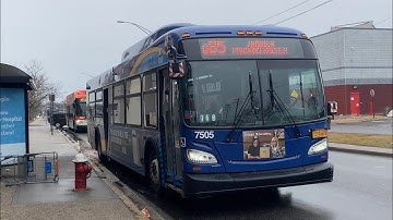 MTA NYCT & NICE Bus: 2018 NFI XD40 & 2016 NFI XN40 #7505 Q85 & #1954 n1