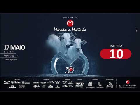 BATERIA 10