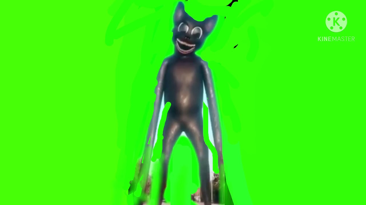 Cartoon cat green screen 2 YouTube