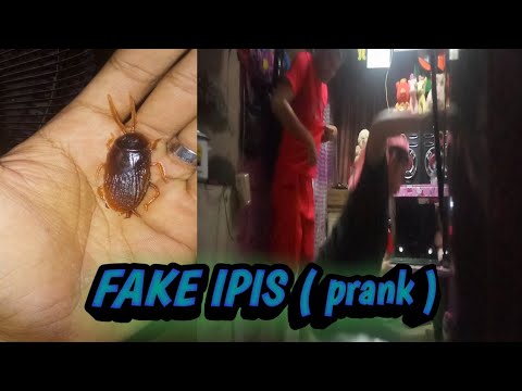 fake-ipis-prank-|-on-may-wife,-pag-pa-good-vibes-|