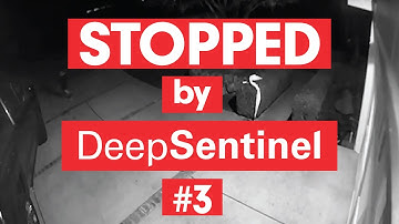 STOPPED by Deep Sentinel #3 - Live Monitoring by Guards Preventing Crime