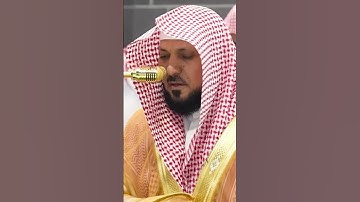 سورة الحجرات | الشيخ #ماهر_المعيقلي