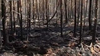 видео Погода в Соколе и Вологде