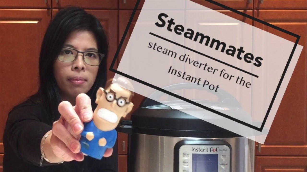 Instant Pot accessory - Steammates steam diverter Review - Henry and Ruby 