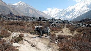 Langtang Trekking, Nepal - Apr2023 part 2/4