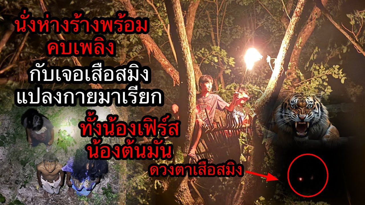 กลับมานั่งห่างร้างเสือสมิงปรากฎต่อหน้าน่ากลัวมากรีบจุดคบเพลิงเพชิญหน้ากับมัน“มันแปลงกายเป็นต้นมันมา?