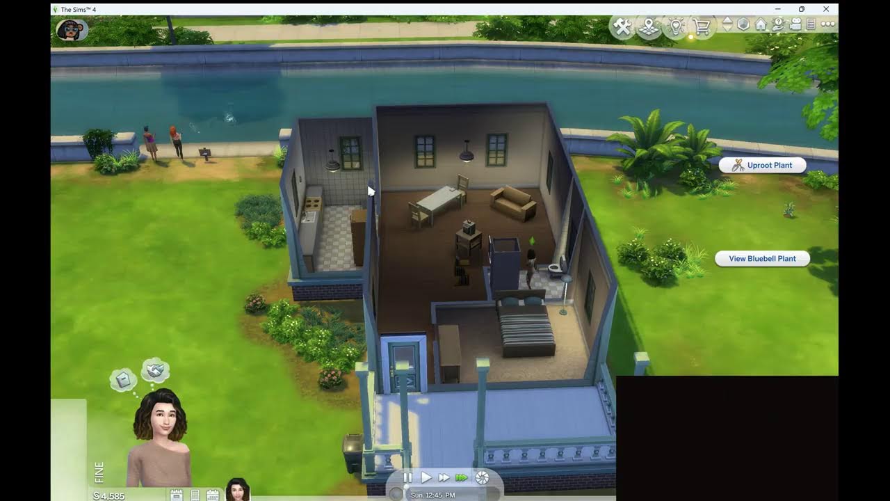 Sims 4 Live Play Through