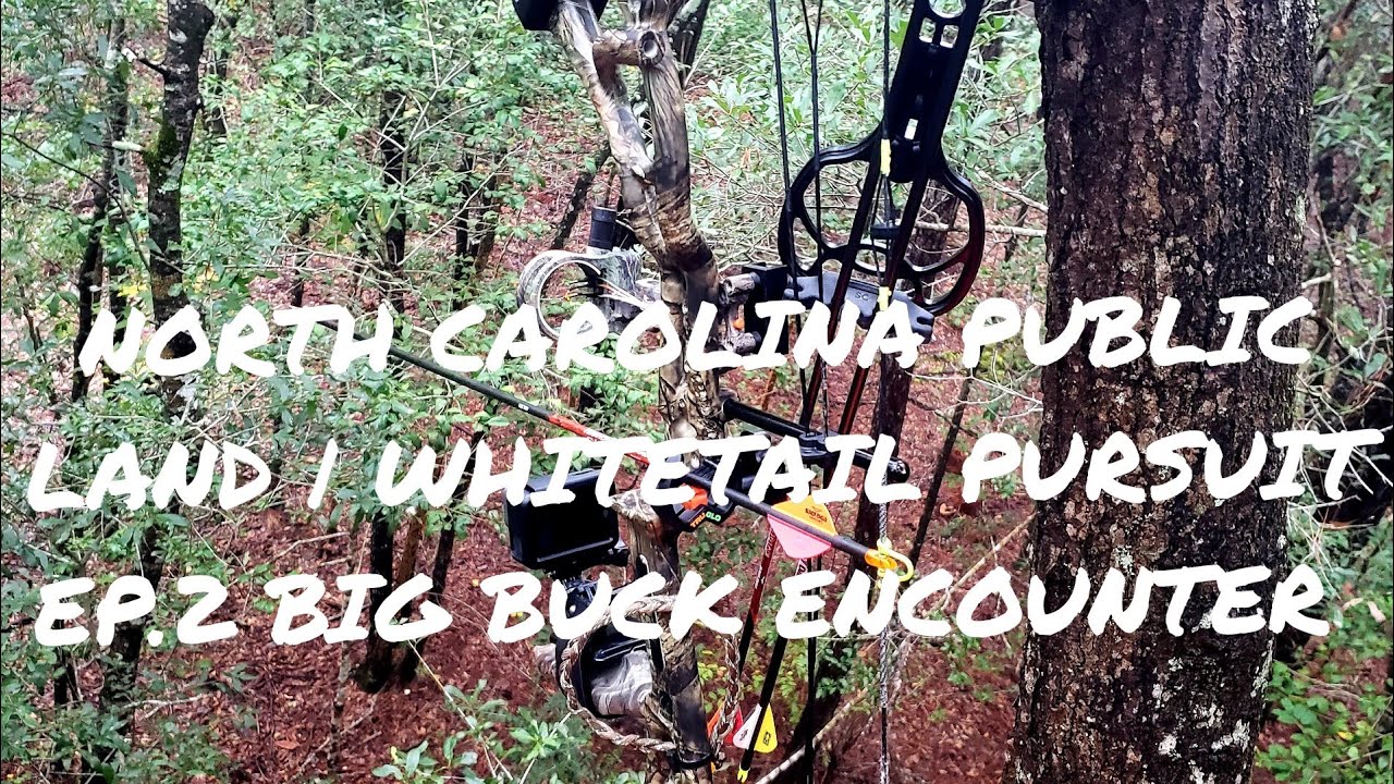 North Carolina Public Land Whitetail Pursuit Ep. 2 Big Buck Encounter