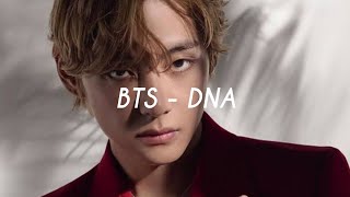 BTS - DNA easy lyrics