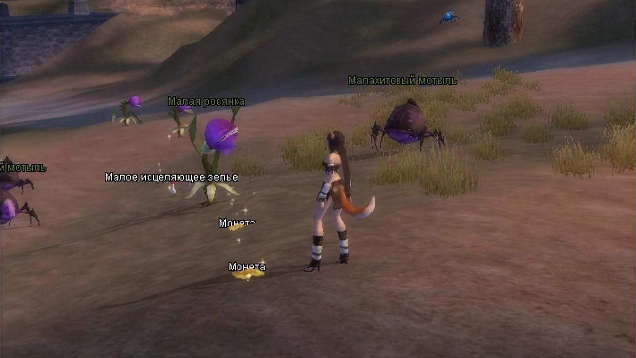 Perfect world прокачка. Юань perfect world. Аукцион пв. Заповедный лес пв. Боги пв.