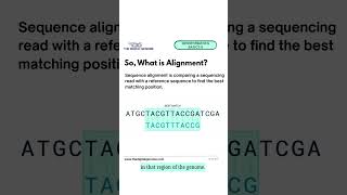 Full Bioinformatics Basics #6 | What Is Sequence Alignment Update