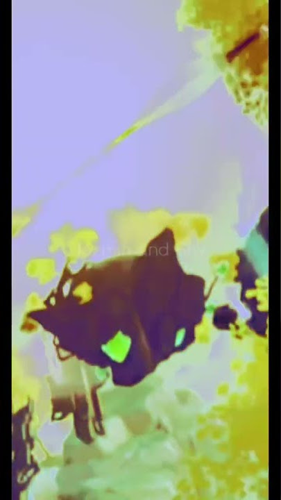 Download lagu Automotvio extradimenional - Zhongli #edit #genshinimpact #genshin #zhongli