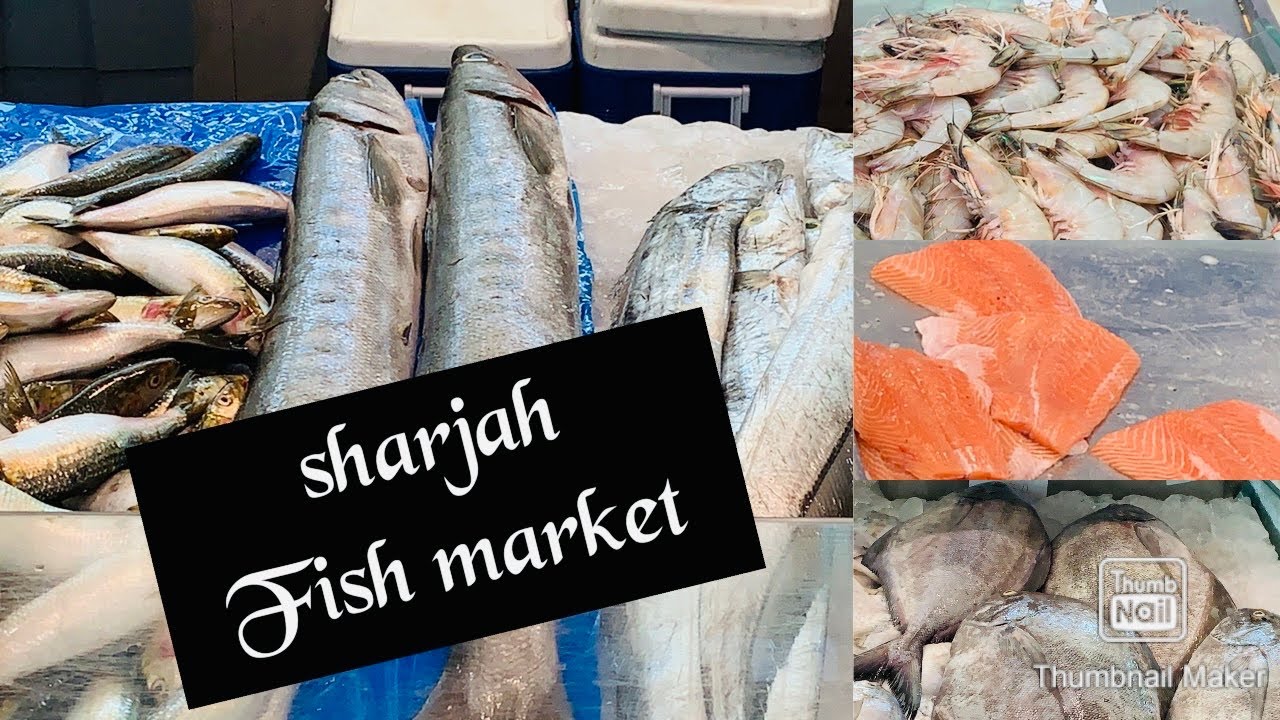 Sharjah fish market,UAESharjah meat market souq al jubail,Sharjah fish,crab, prawn meat market