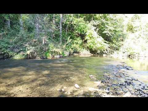 ﻓﻜﻴﻒ ﺗﺨﺎﻑ ﺍﻟﻔﻘﺮ ﻭﺍﻟﻠﻪ ﺭﺍﺯﻗﺎ ﻓﻘﺪ ﺭﺯﻕ ﺍﻟﻄﻴﺮ ﻭﺍﻟﺤﻮﺕ ﻓﻲ ﺍﻟﺒﺤﺮرابط المادة