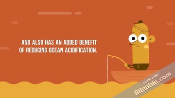 Enhanced Rock Weathering