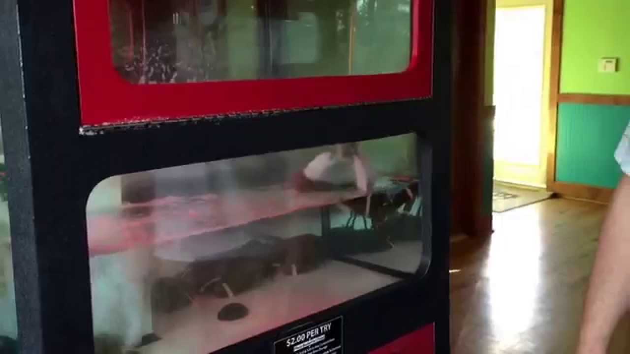 Dude Wins a Free Lobster from a 2 Claw Machine YouTube