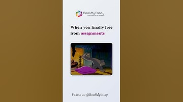 POV: When you finished all your assignments #studentlife #assignment #academicstress