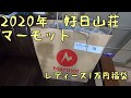 2020年好日山荘マーモット1万円福袋の中身は？ Marmot【レディース】ネタバレ