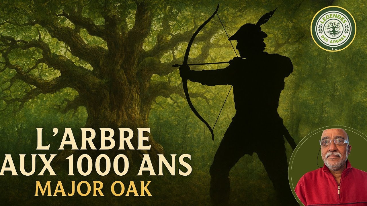 Cet arbre millénaire cache un incroyable secret…