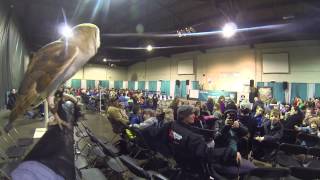 Birds of Prey at Bald Eagle Days