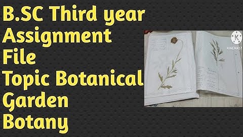 B.SC Third year, Assignment file Topic Botanical Garden, Botany