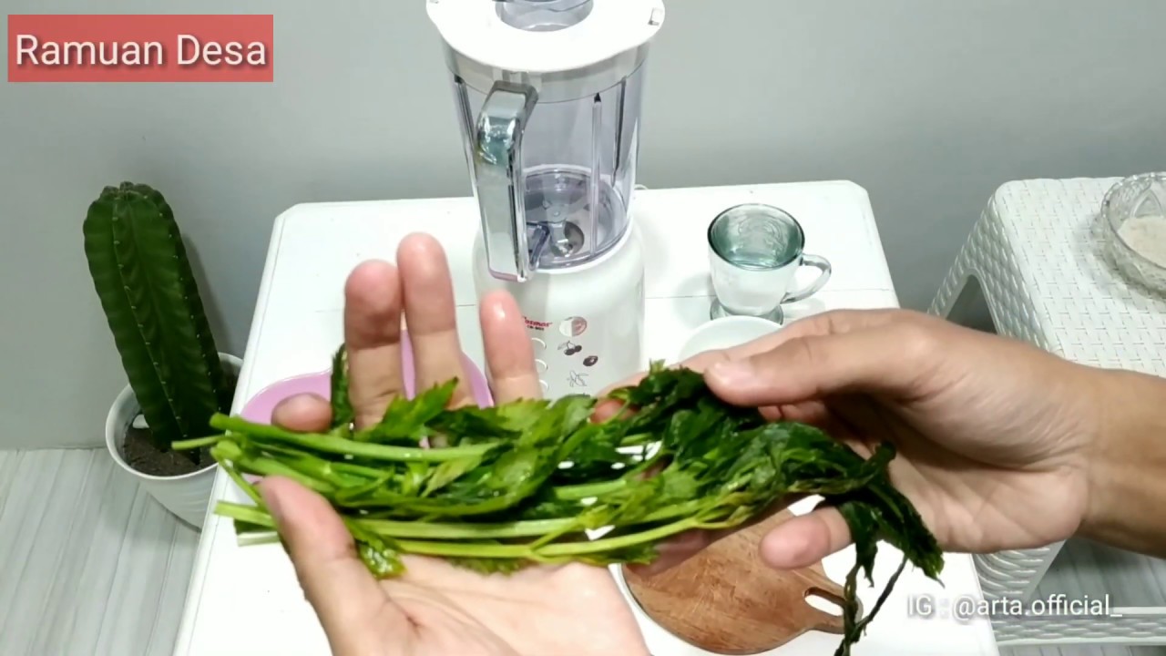 Cara Membuat Jus Seledri & Manfaat Rutin Minum Jus Seledri ~ Ramuan