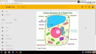 Google Keep Basics
