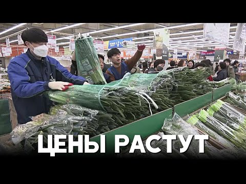 Южнокорейцы покупают субсидированный лук и жалуются на рост цен