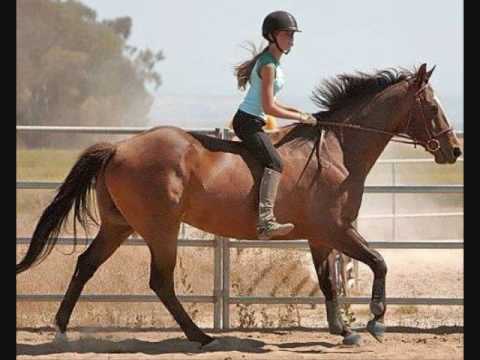 To An Amazing Rider, RIP Jessica Marie Forsyth