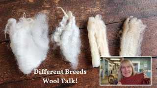 Handspinning woolen style, wool processing mill videos plus sheep wool comparisons (epsiode 102)