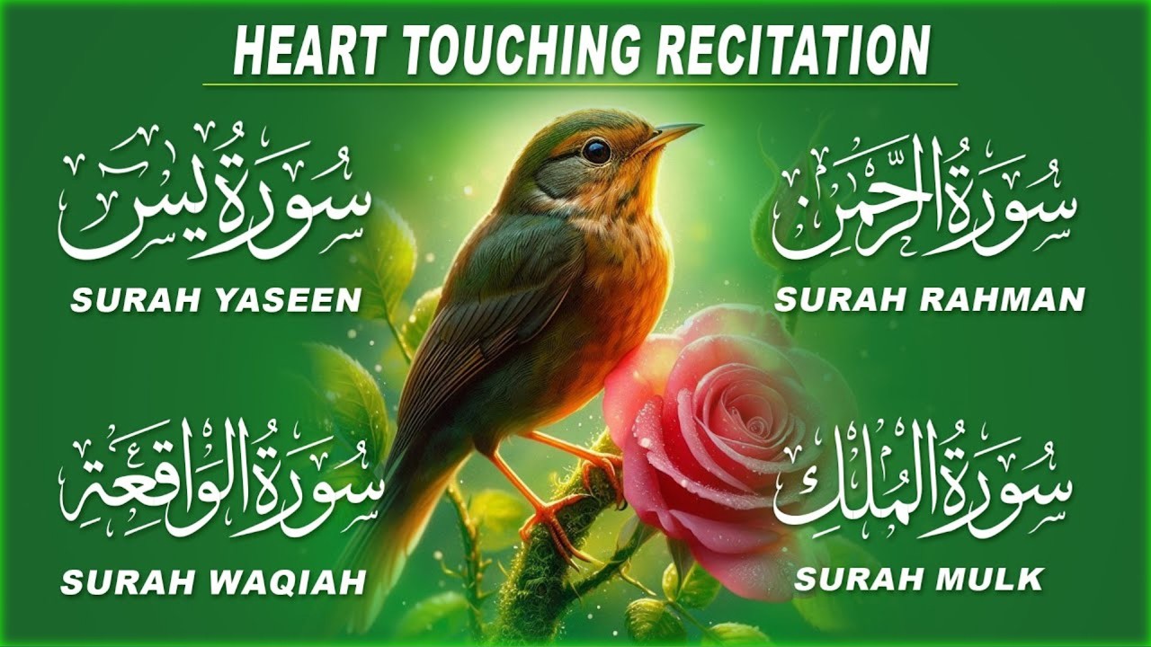Beautiful recitation of Surah Yaseen | Surah Rahman | Surah Waqiah | Surah Mulk | Daily Sleep Quran